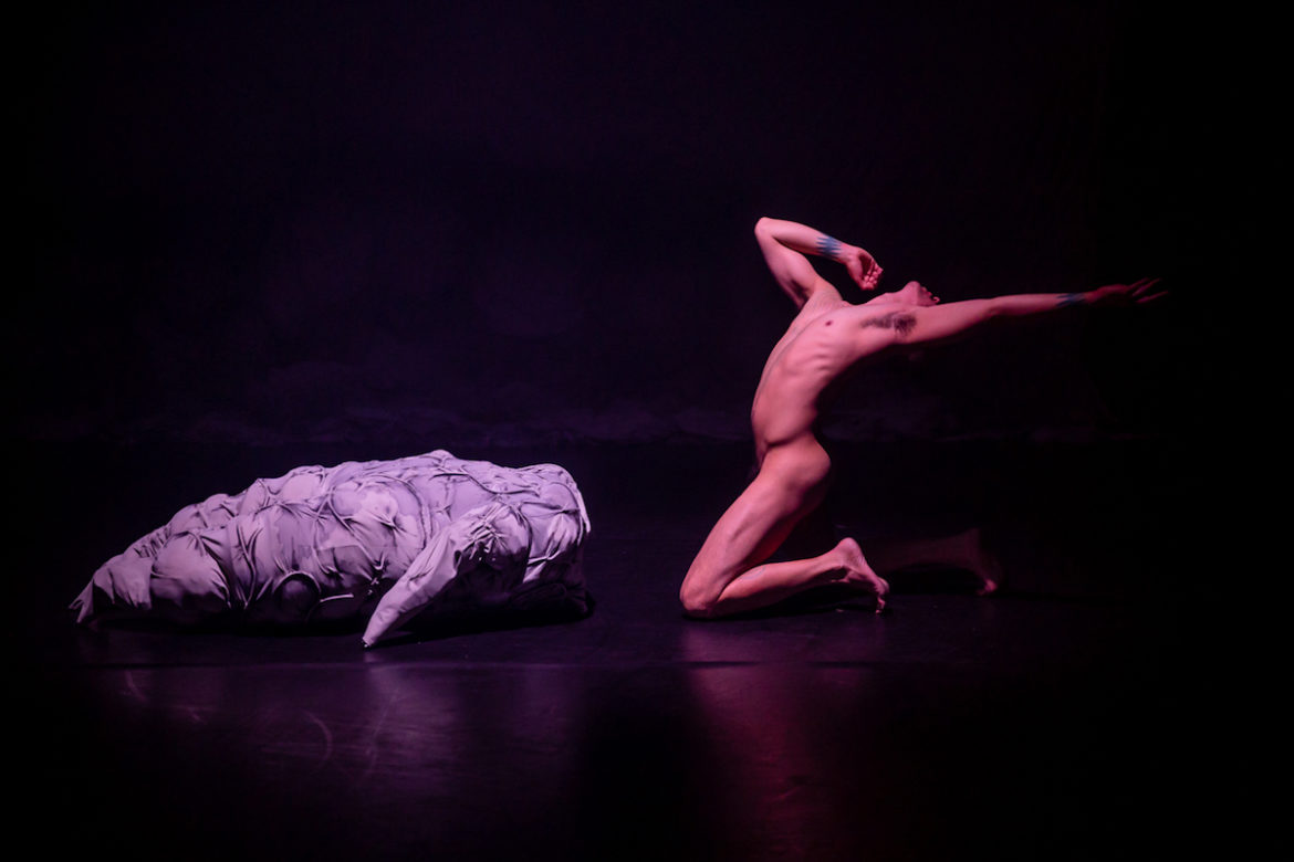 Justin Shoulder's Carrion. Photo: Bryony Jackson