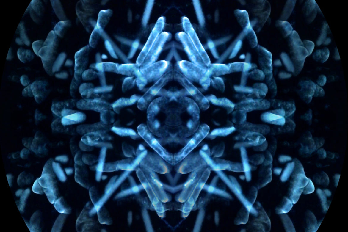 Image: Andrew Watson