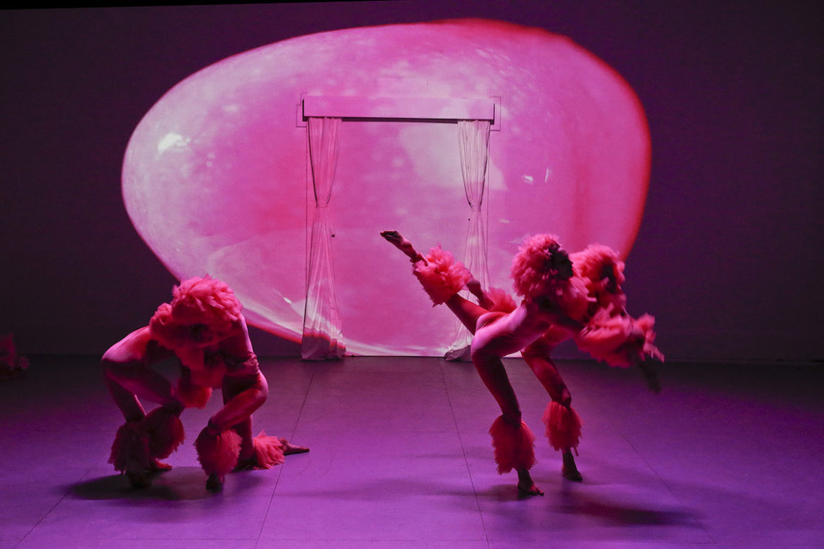 Phillip Adams BalletLab's Glory. Photo: Jeff Busby